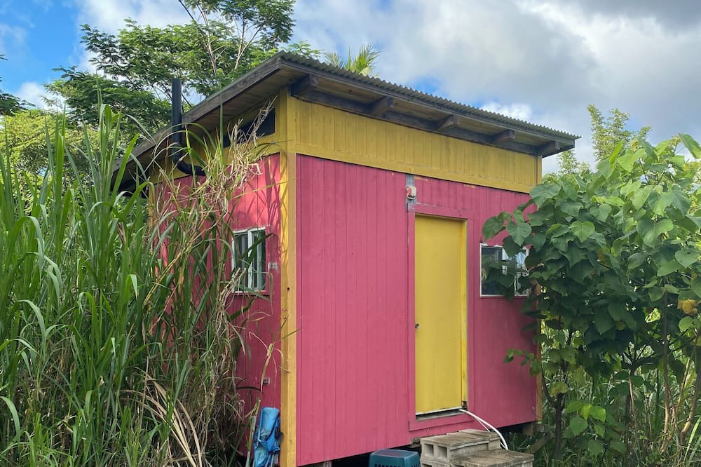 Photo of Outdoor in Kapoho