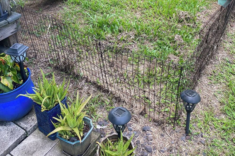 Photo of Outdoor in Kapoho