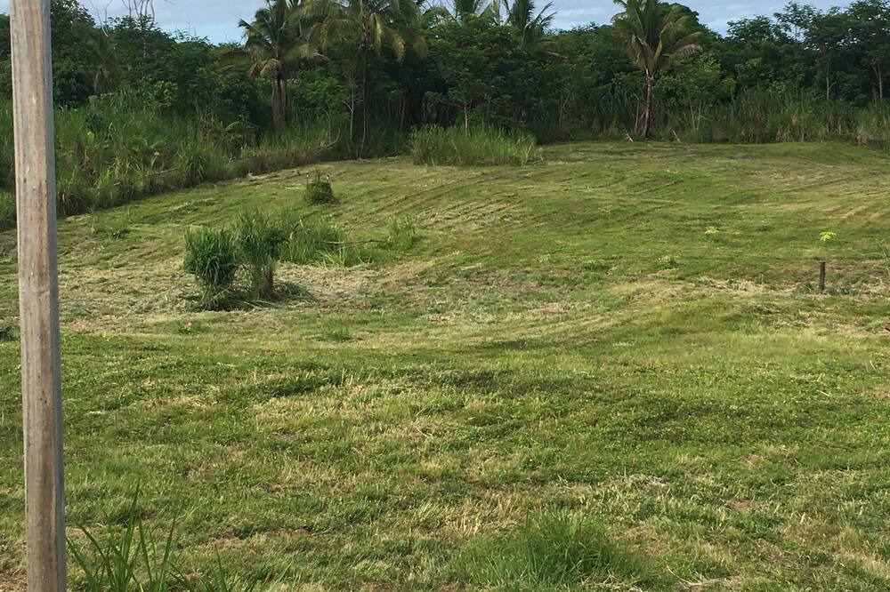 Photo of Others in Kapoho