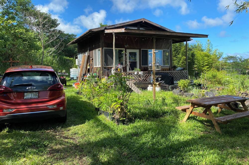 Photo of Outdoor in Kapoho