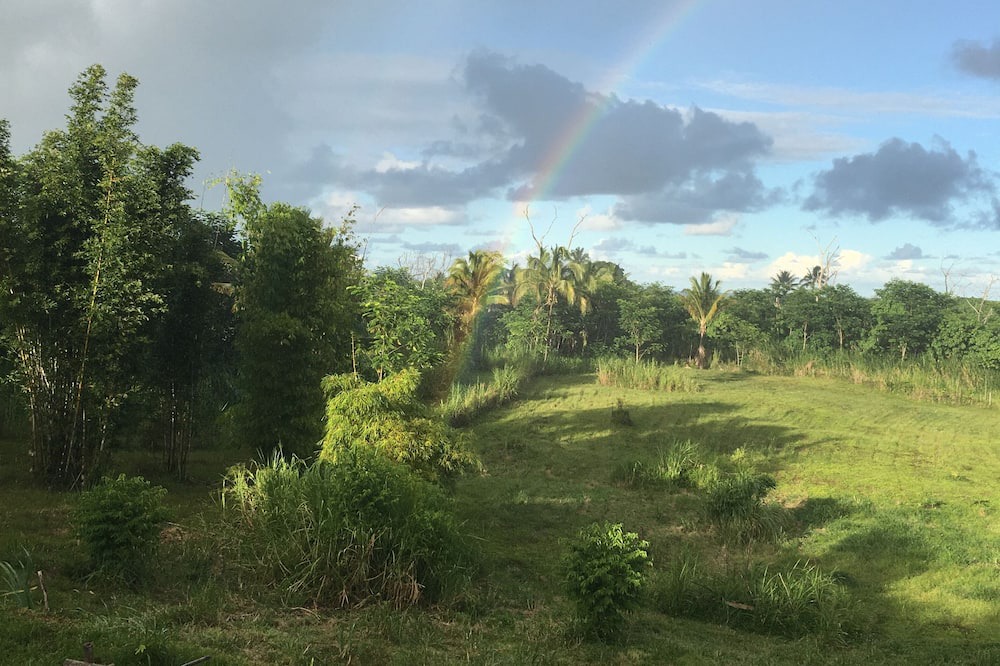 Photo of Others in Kapoho