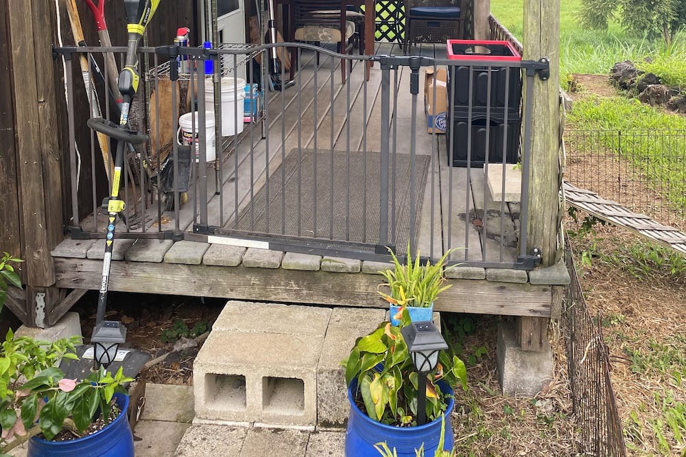 Photo of Outdoor in Kapoho