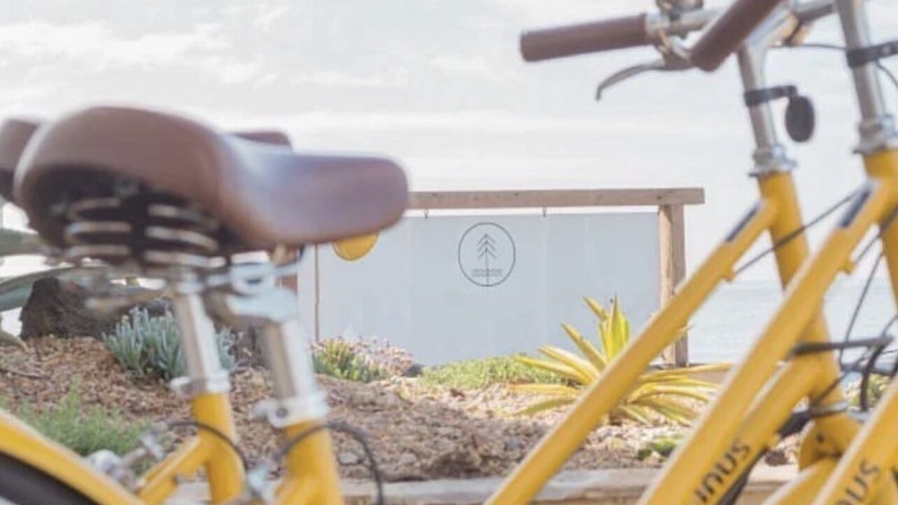 Photo of Outdoor in Palm Beach Shores