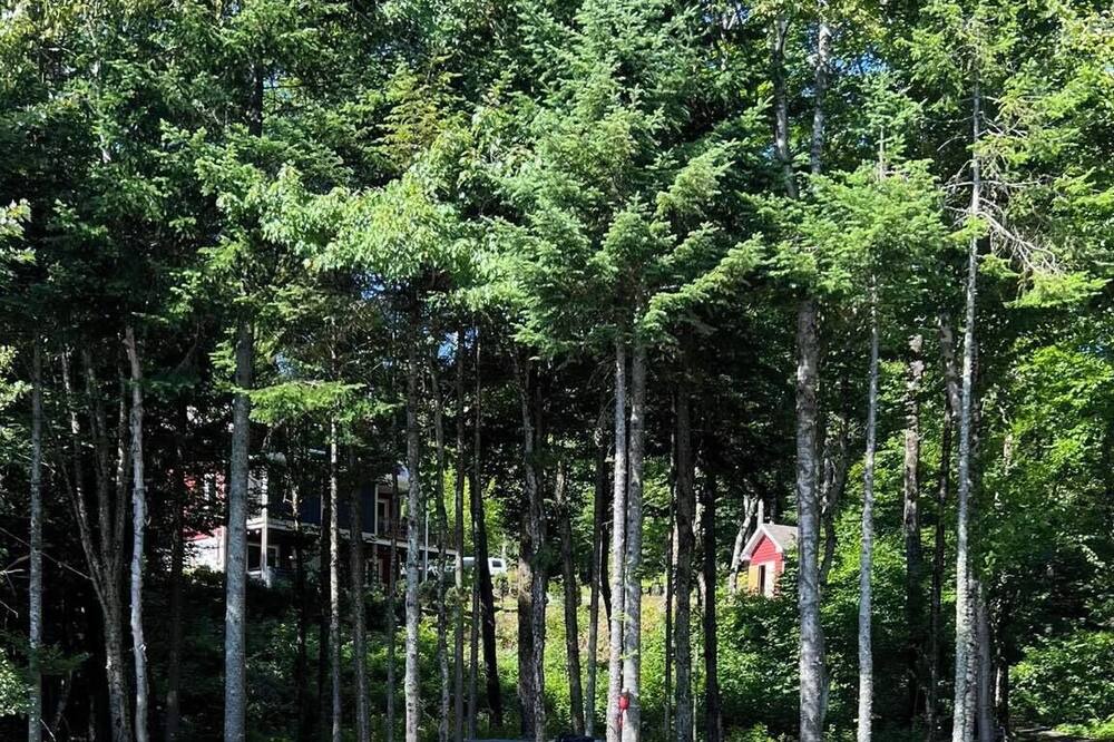 Photo of Others in Lac-aux-Sables