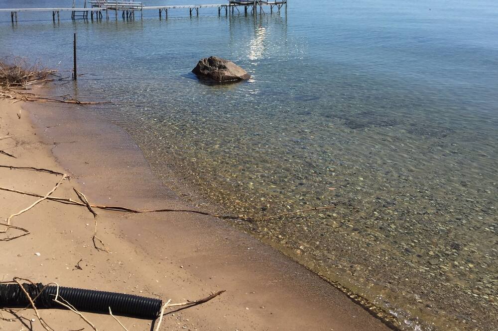 Photo of Others in Northport