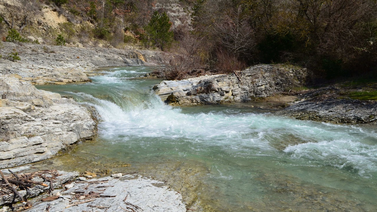 Photo of Others in Roche-Saint-Secret