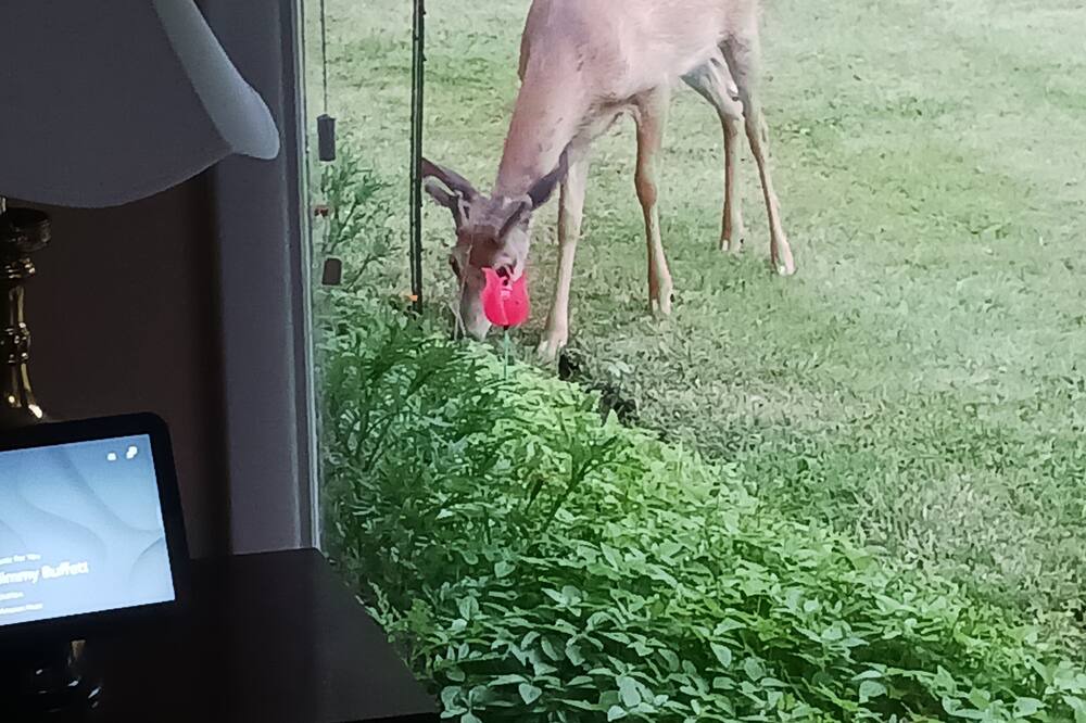 Photo of Outdoor in Canandaigua
