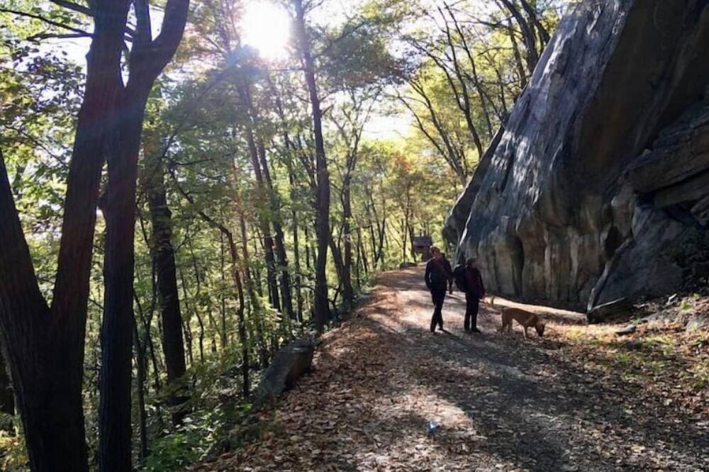 Photo of Others in New Paltz