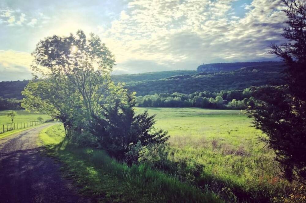 Photo of Others in New Paltz