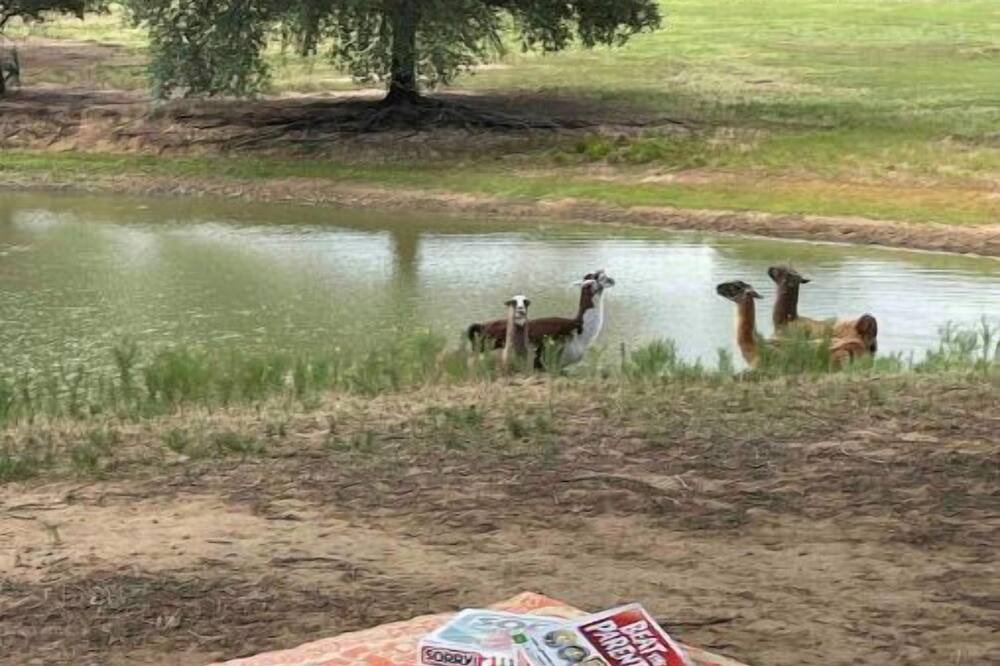 Photo of Others in Bartonville