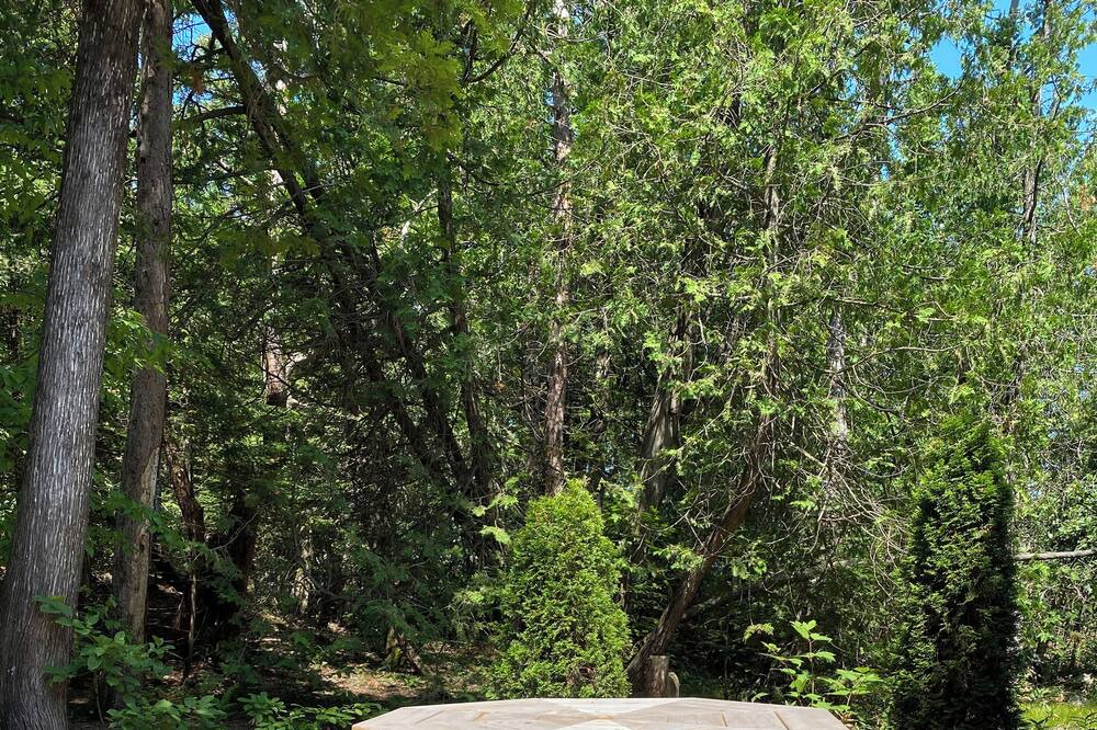 Photo of Outdoor in Sauble Beach