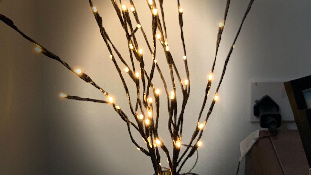 Photo of Others in Todmorden