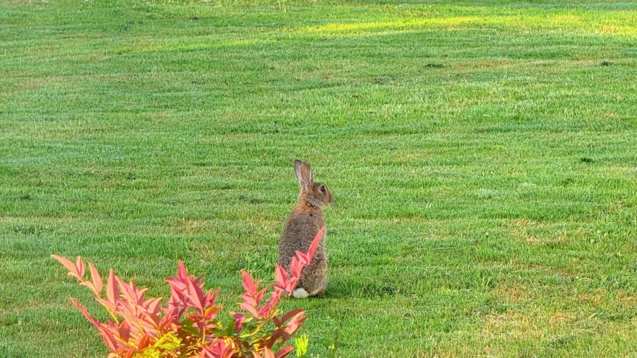 Photo of Others in Warkworth