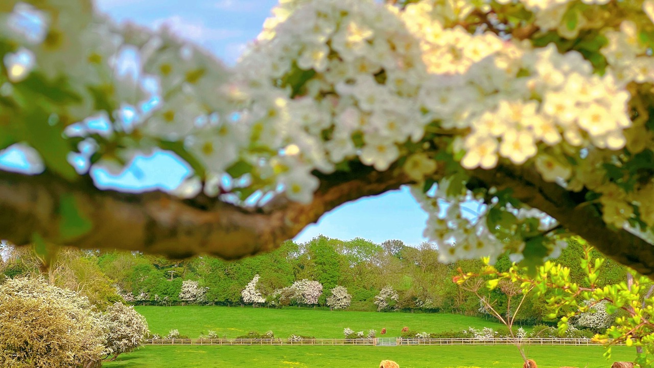 Photo of Outdoor in Warkworth