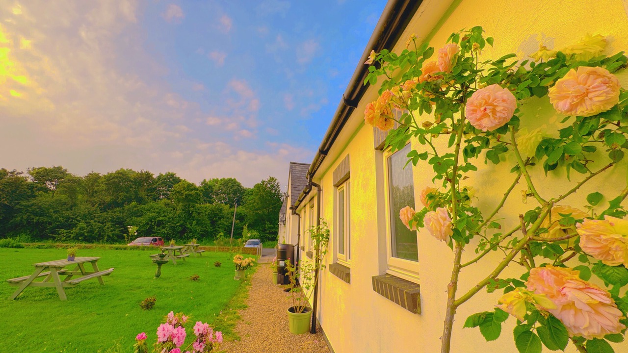 Photo of Outdoor in Warkworth