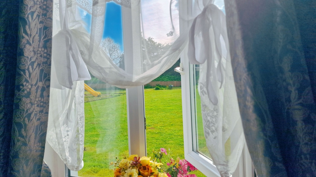 Photo of Others in Warkworth