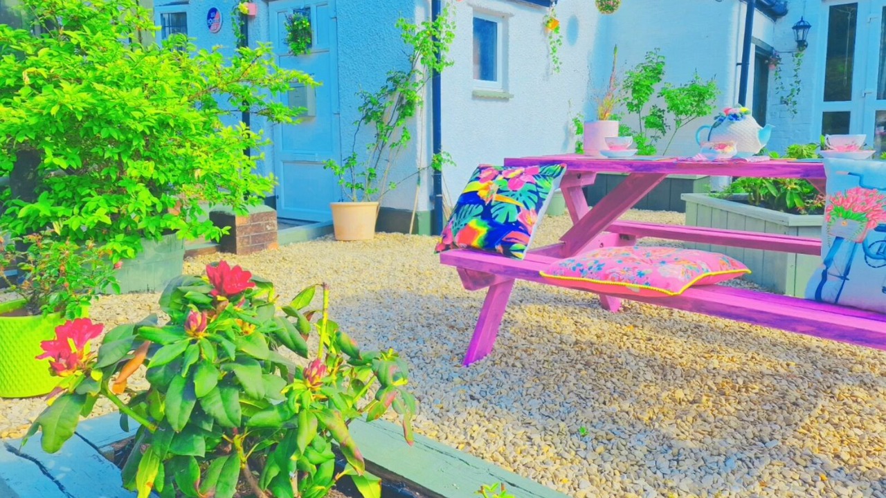 Photo of Others in Warkworth