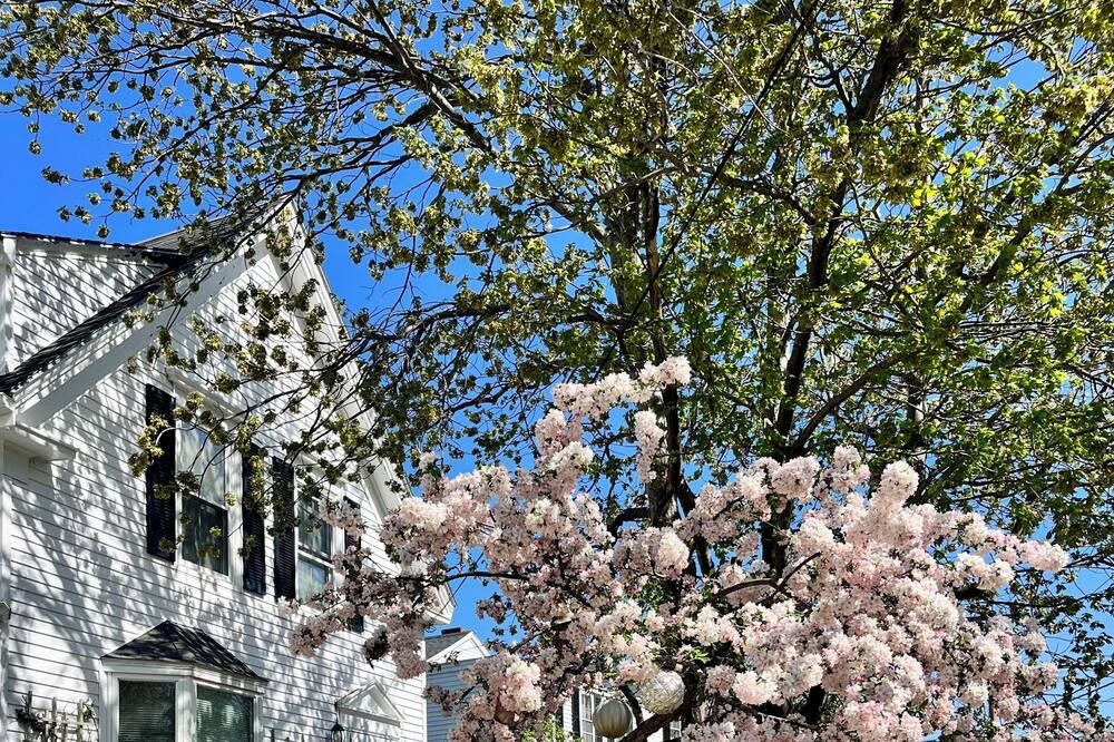 Photo of Others in Yarmouth