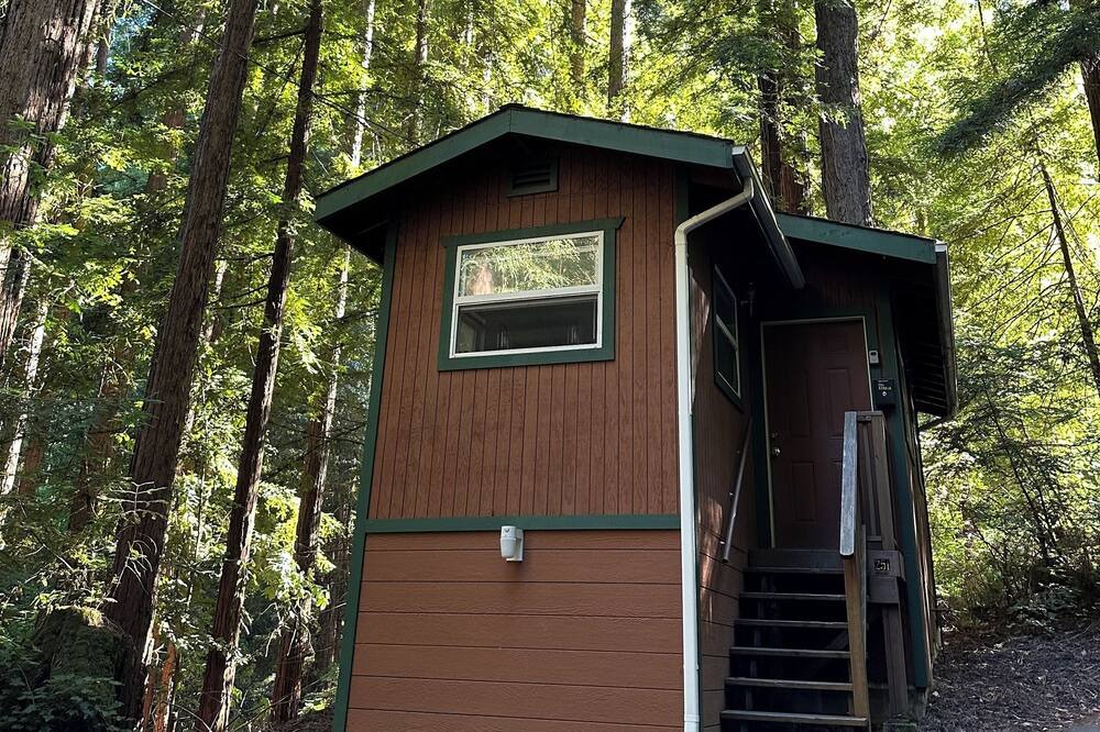 Photo of Outdoor in Ben Lomond