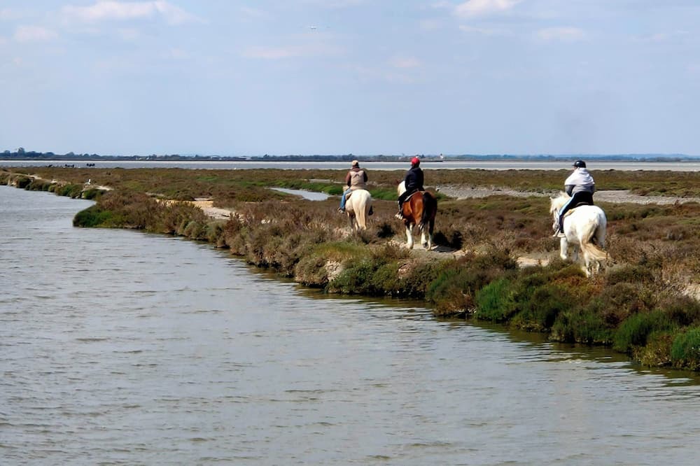 Photo of Others in Saintes-Maries-de-la-Mer