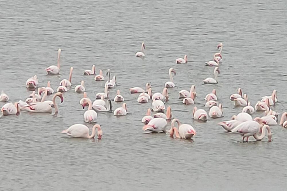 Photo of Others in Saintes-Maries-de-la-Mer