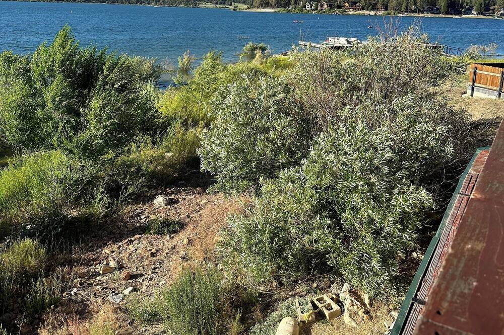 Photo of Outdoor in Big Bear City