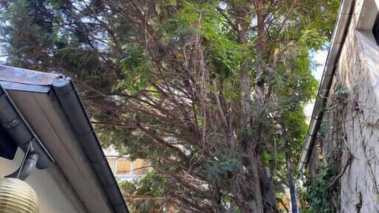 Photo of Outdoor in Gare