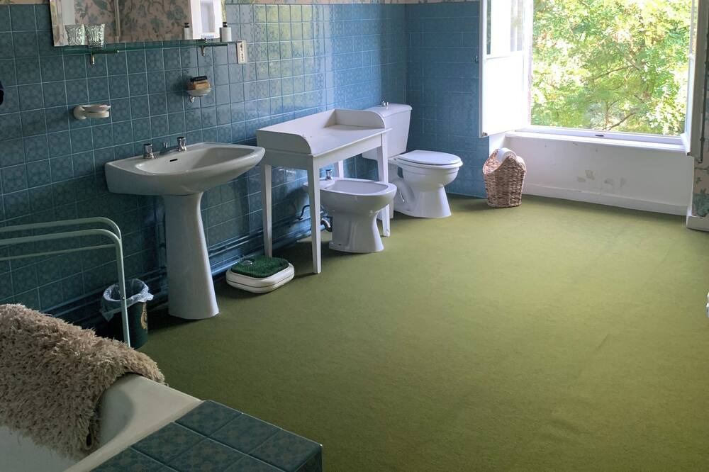 Photo of Bathroom in Lamothe
