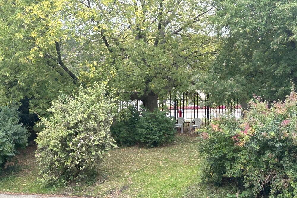 Photo of Outdoor in Downtown Niagara Falls