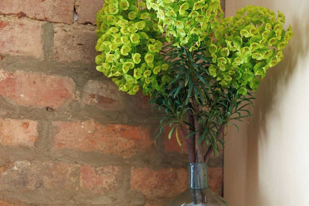 Photo of Others in Lancefield