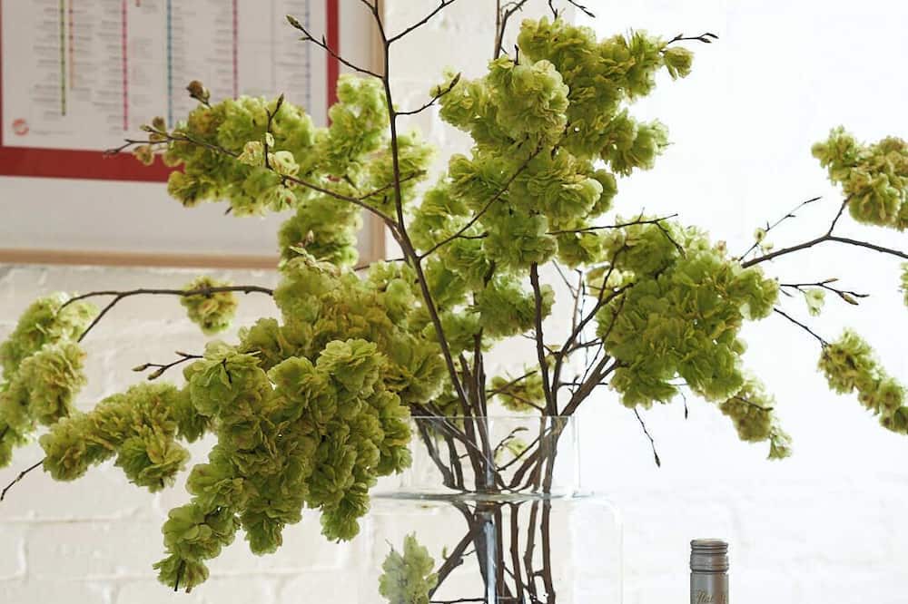 Photo of Others in Lancefield