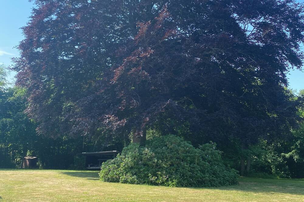 Photo of Outdoor in Hagerup