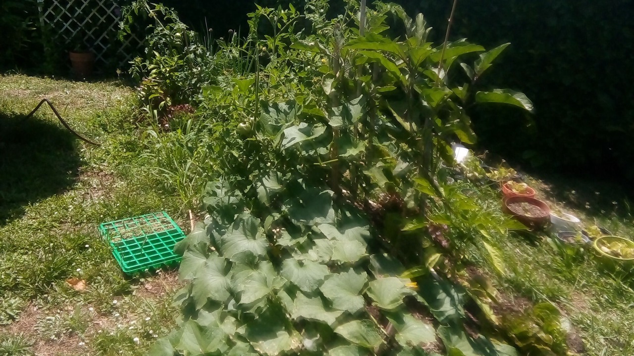 Photo of Outdoor in Garidech