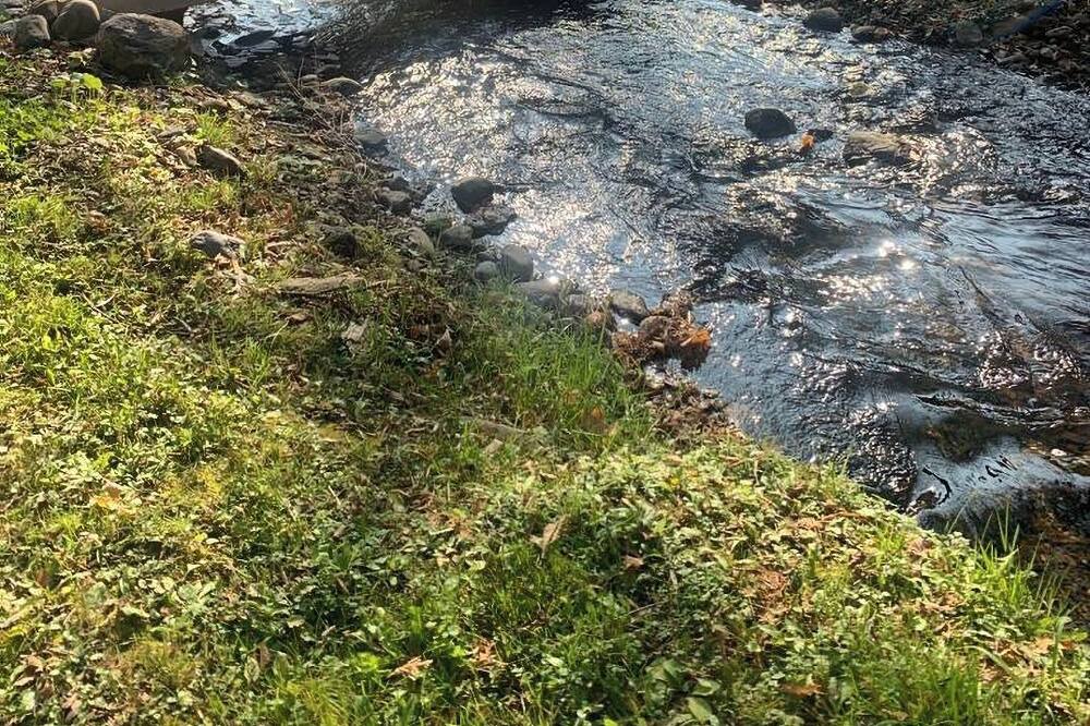 Photo of Outdoor in Ashburn