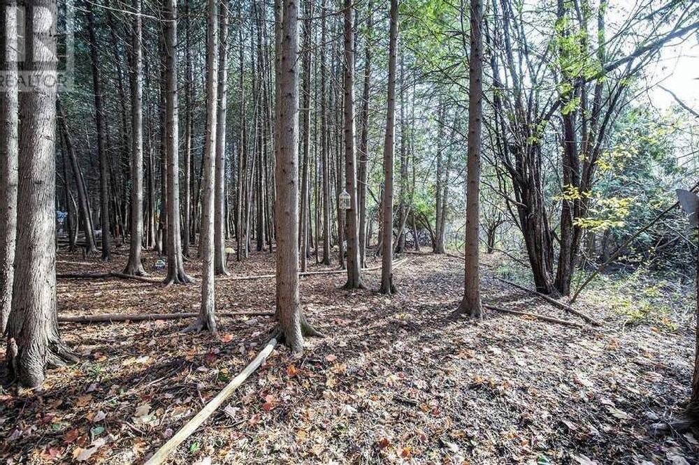 Photo of Others in Ashburn