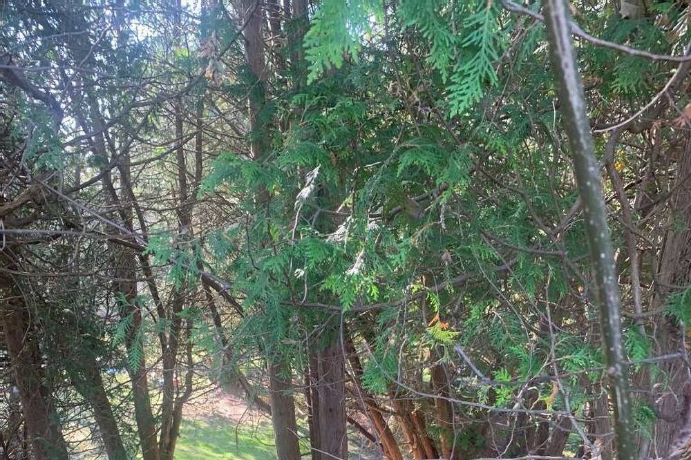 Photo of Outdoor in Ashburn