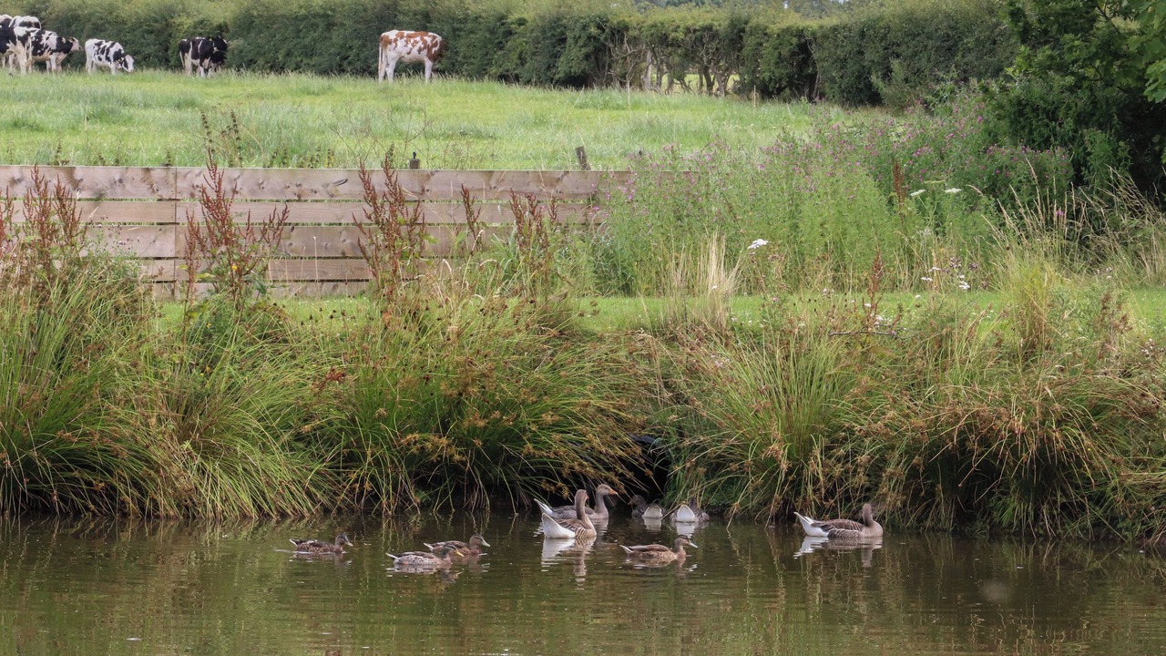 Photo of Others in Knott End-on-Sea