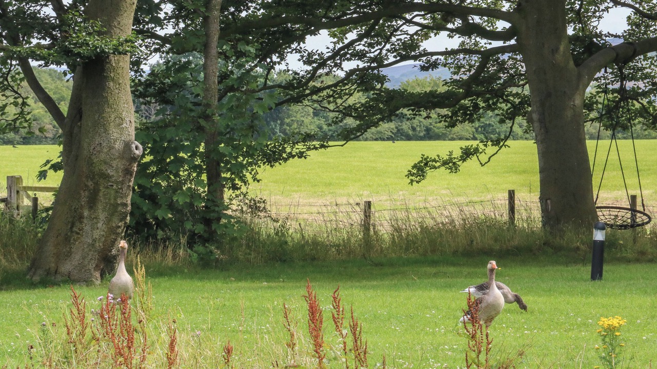 Photo of Others in Knott End-on-Sea