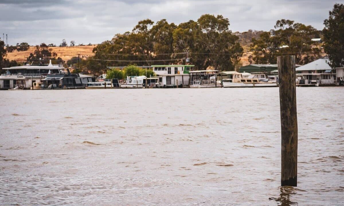 Photo of Others in Palmer