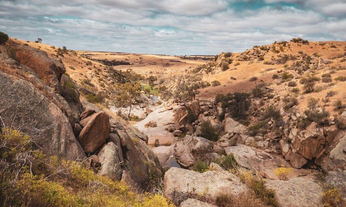 Photo of Others in Palmer