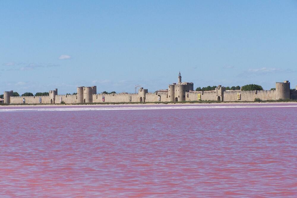 Photo of Others in Aigues-Mortes