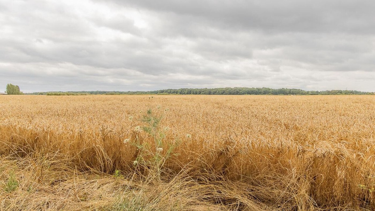 Photo of Outdoor in Alleriot