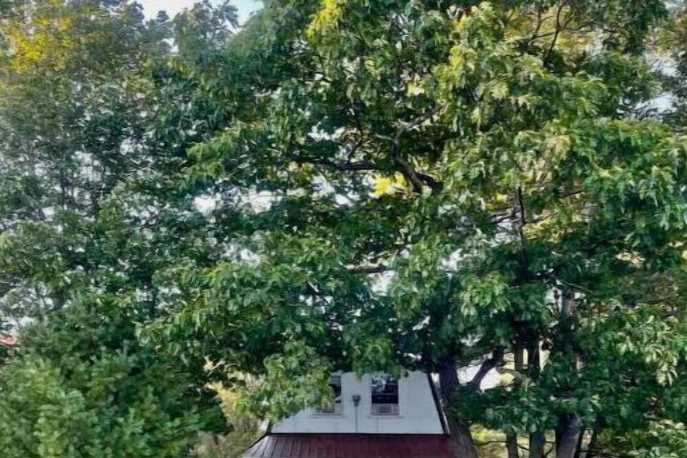 Photo of Others in Windham