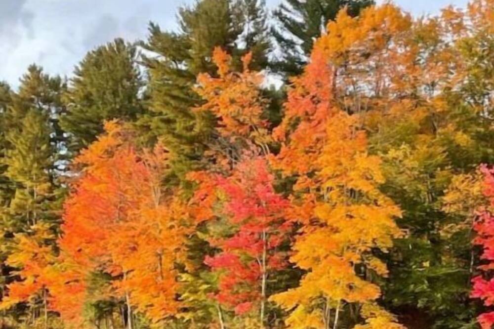 Photo of Others in Windham