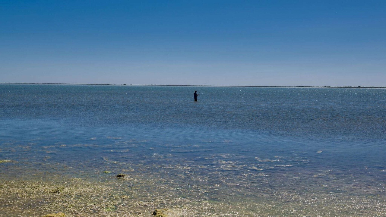 Photo of Others in Fabregues