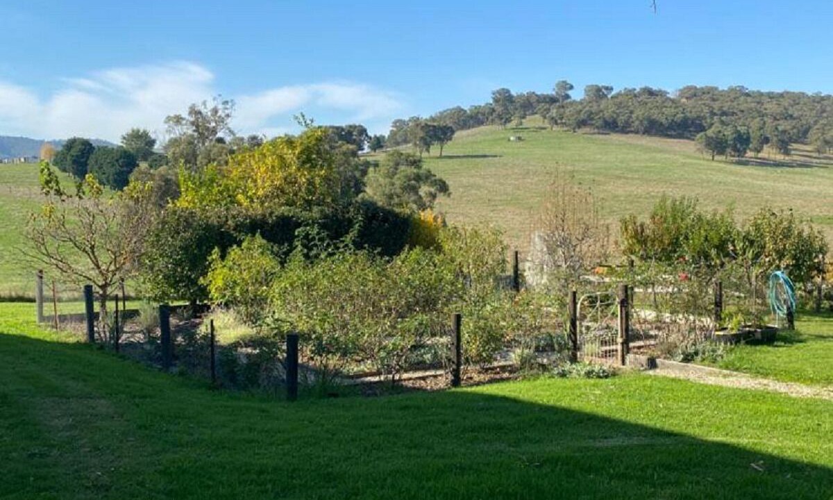 Photo of Outdoor in Dixons Creek