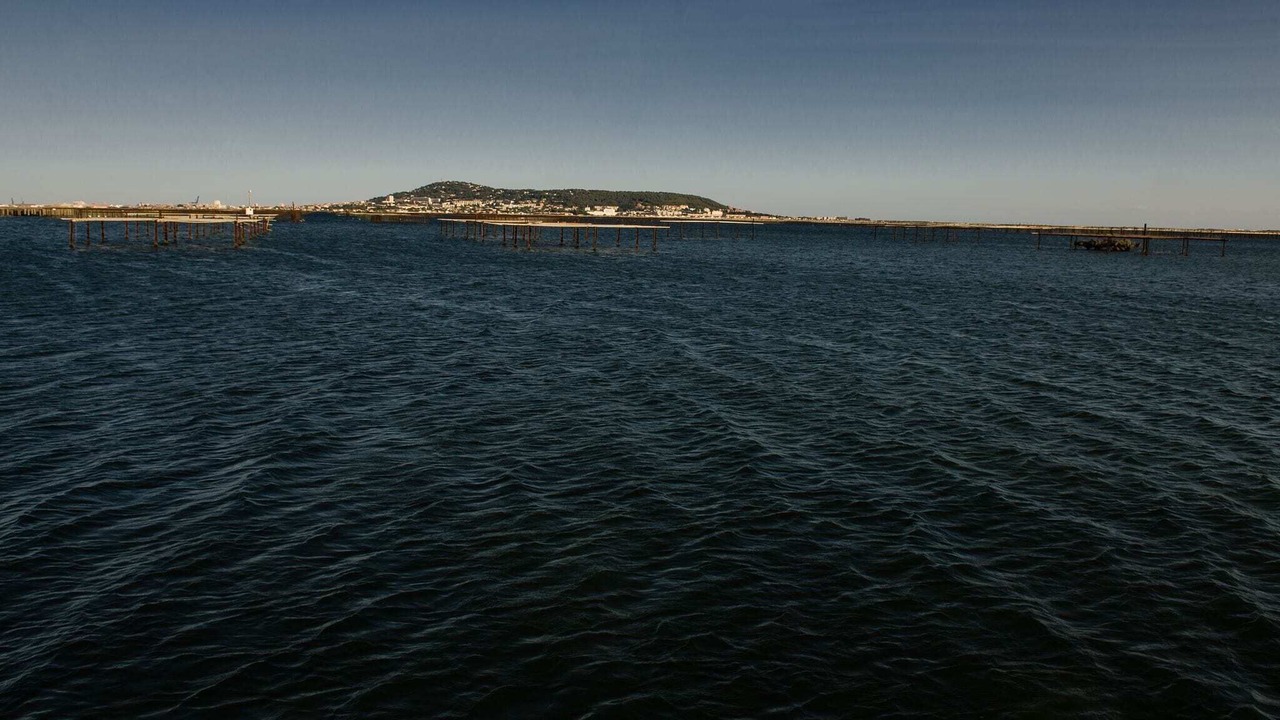 Photo of Outdoor in Fabregues