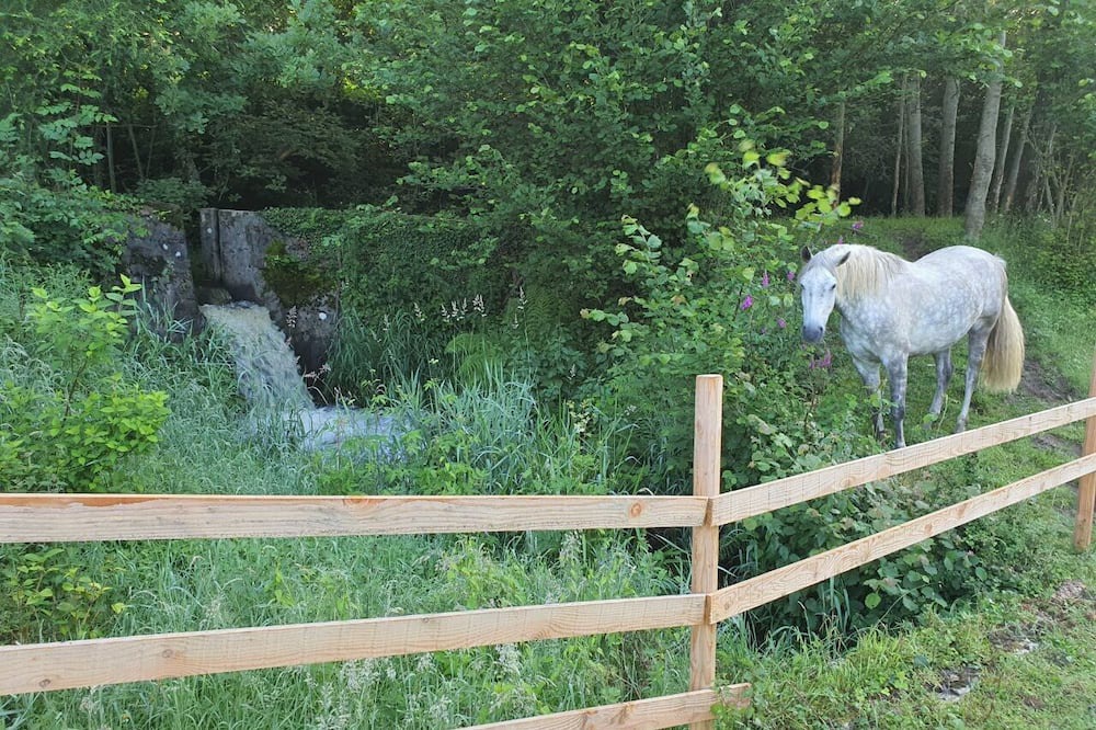 Photo of Others in La Lande-Patry