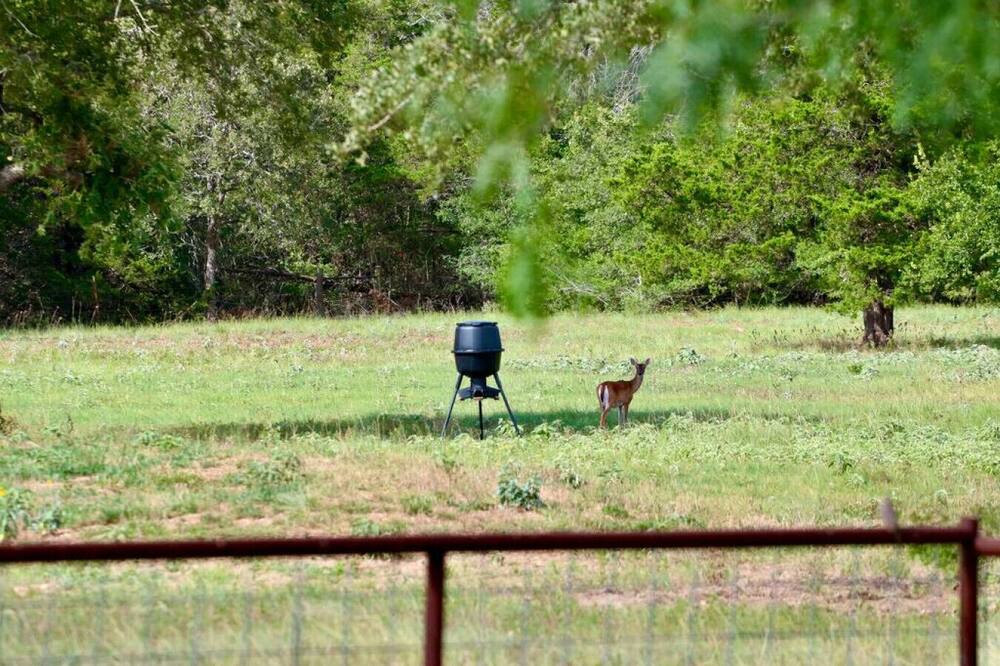Photo of Others in Smithville