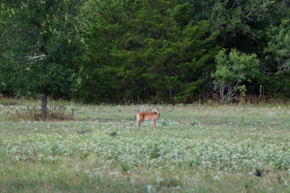 Photo of Others in Smithville
